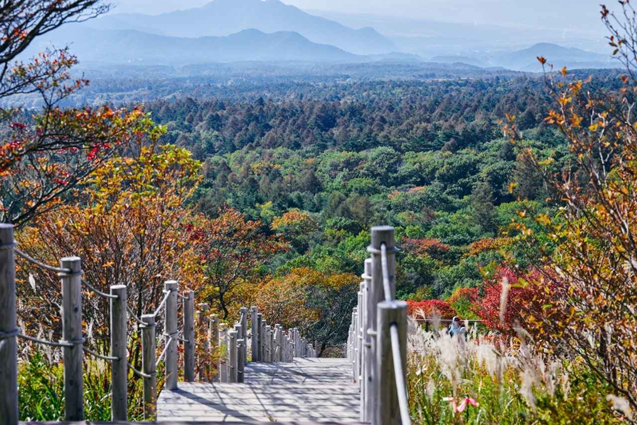画像: おすすめスポット１ 紅葉を楽しむ「美し森」