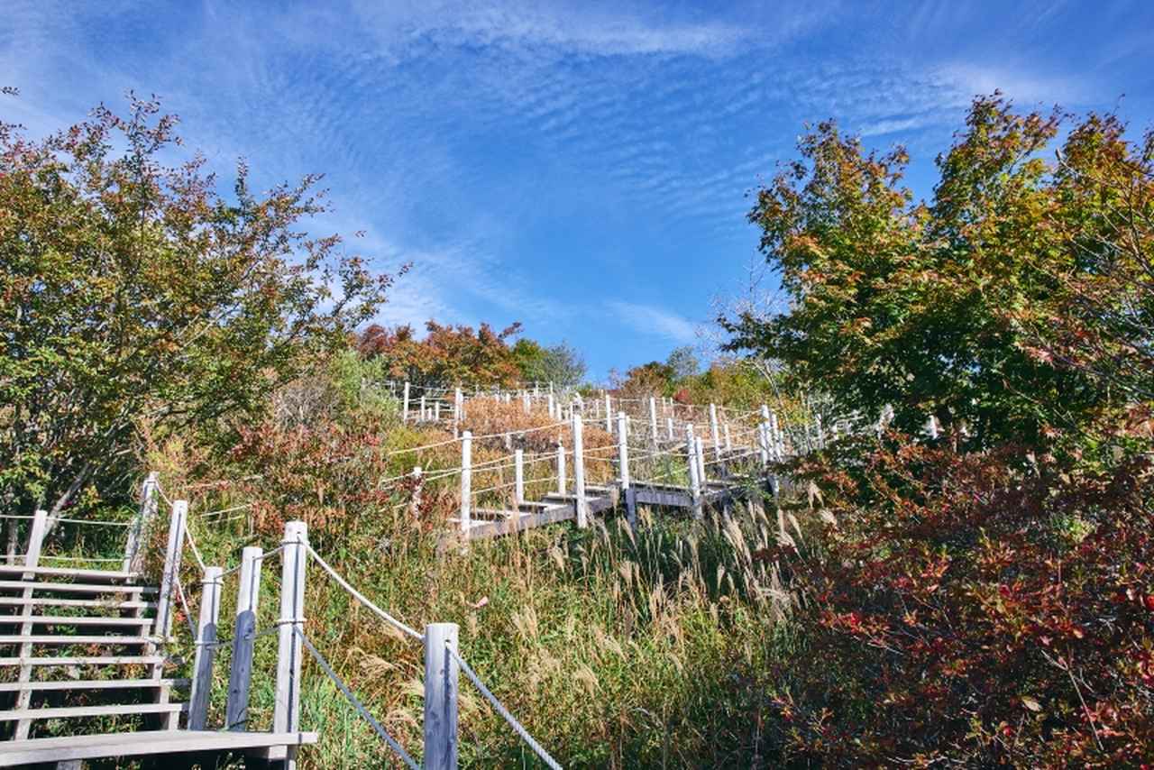 画像: 木の階段で登っていきます