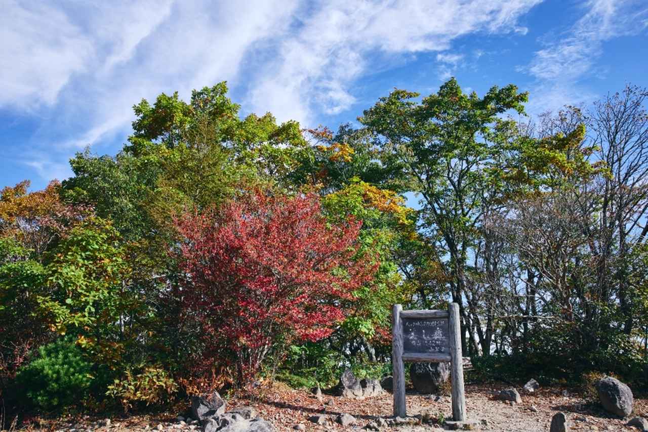 画像2: 秋の「山梨・八ヶ岳」日帰り旅おすすめコース。地元民が教える “紅葉の絶景スポット”や季節限定の贅沢ぶどうパフェ／カメラマン・柳原久子さん