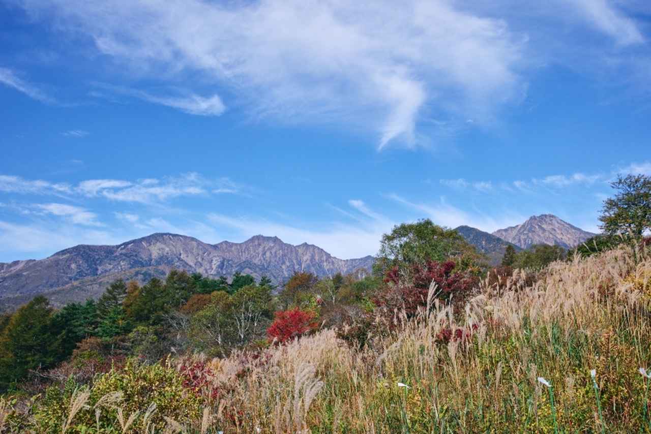 画像1: 秋の「山梨・八ヶ岳」日帰り旅おすすめコース。地元民が教える “紅葉の絶景スポット”や季節限定の贅沢ぶどうパフェ／カメラマン・柳原久子さん