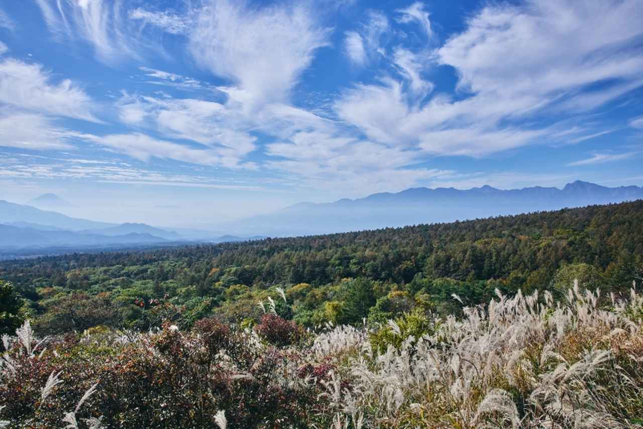 画像: 秋の八ヶ岳へようこそ