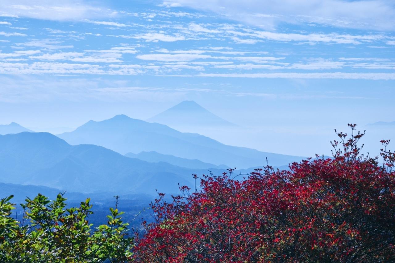 画像: 天気がよければ富士山を見ることができます