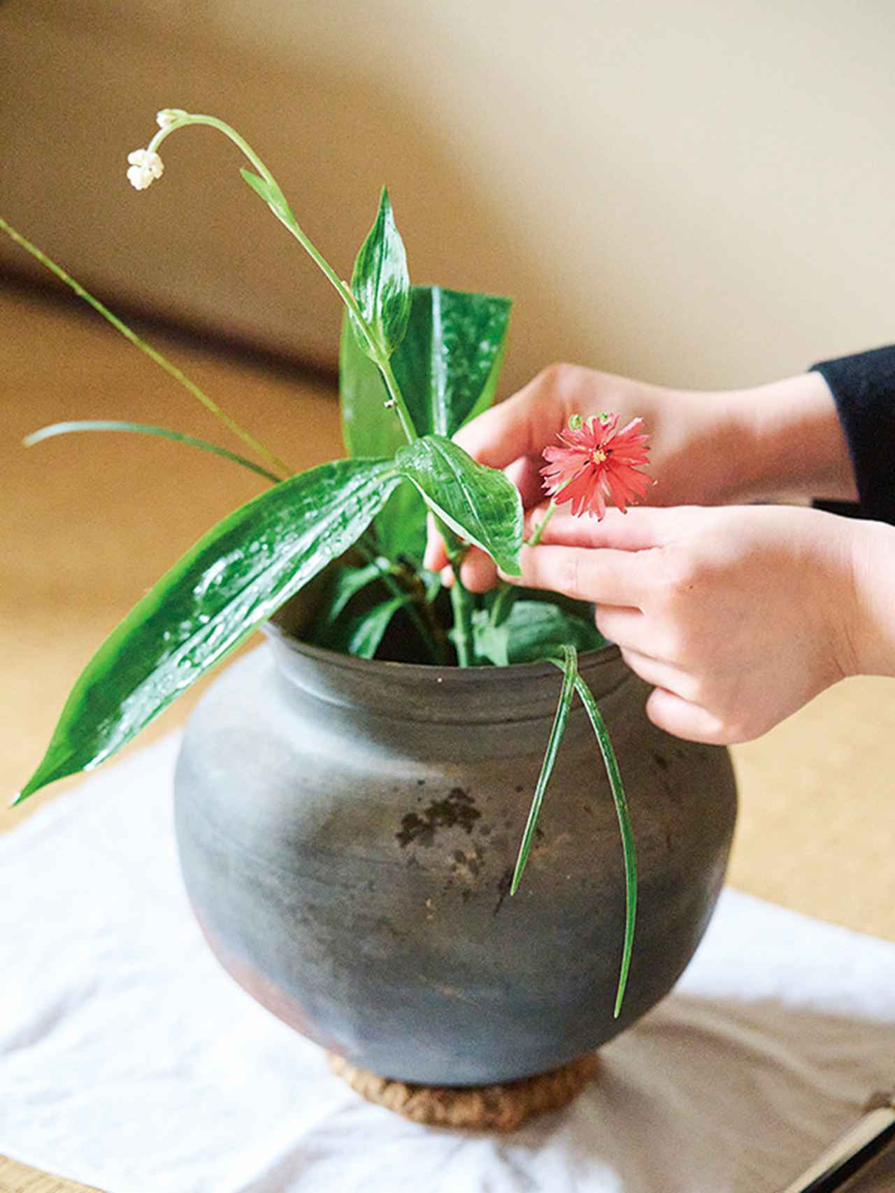 画像: 和花専門店でときどき花を購入し、活けるのが楽しみ