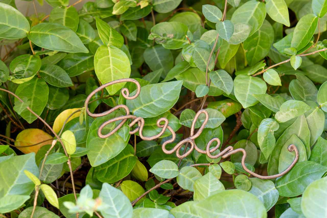 画像: ハツユキカズラの葉の間に「Garden」の文字をそっと添えて。細いワイヤーの線が、グリーンを隠さず景色になじみます