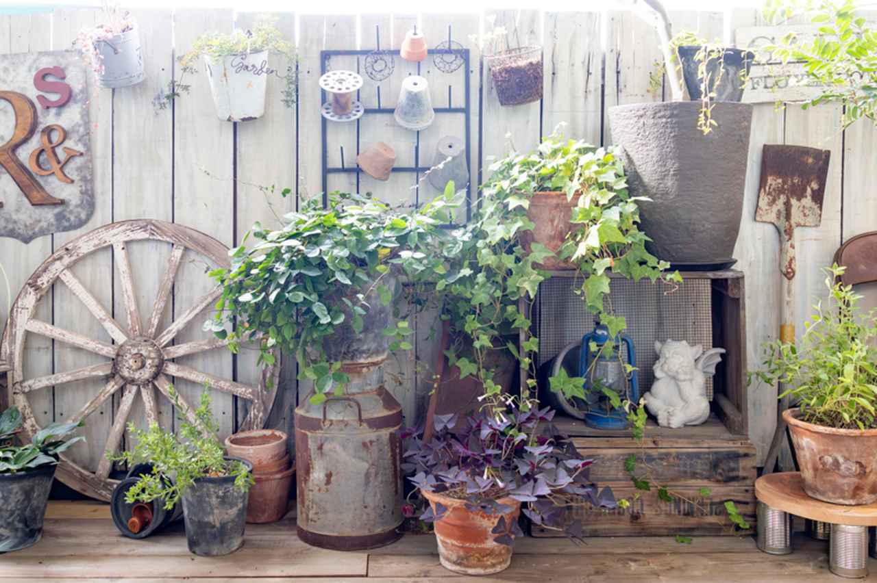 画像: 植物や鉢、古い道具、手づくりしたもの。ひとつずつ「好き」を重ねていくうちに、いつの間にかわが家らしい景色になりました