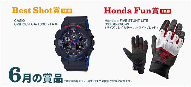 画像: 今月(6月)の商品はこちら