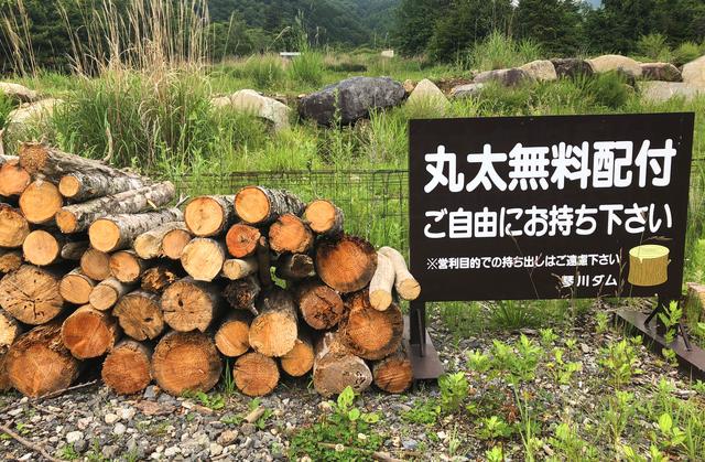 画像2: プチ冒険のはじまり