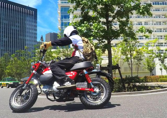 画像8: おっきいモンキー、どうでしょう?