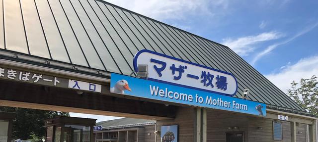 画像1: そんなこんなでマザー牧場に到着!