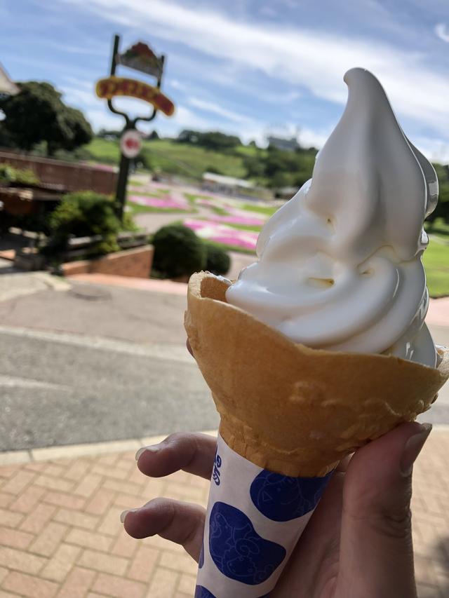 画像2: そんなこんなでマザー牧場に到着!
