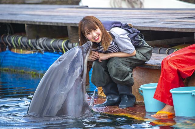 画像4: イルカとのふれあいタイム