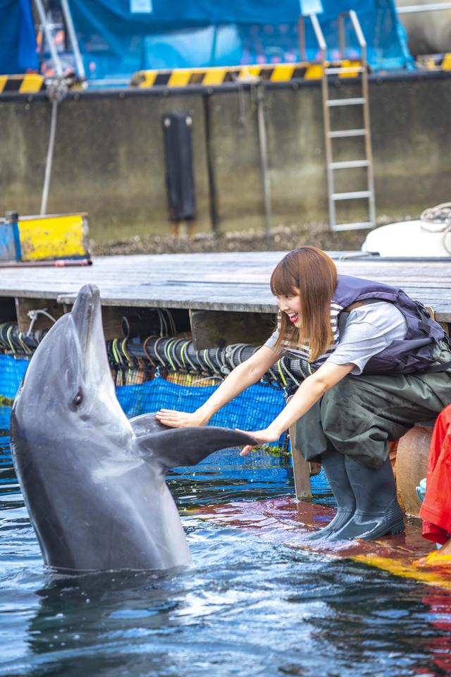 画像2: イルカとのふれあいタイム