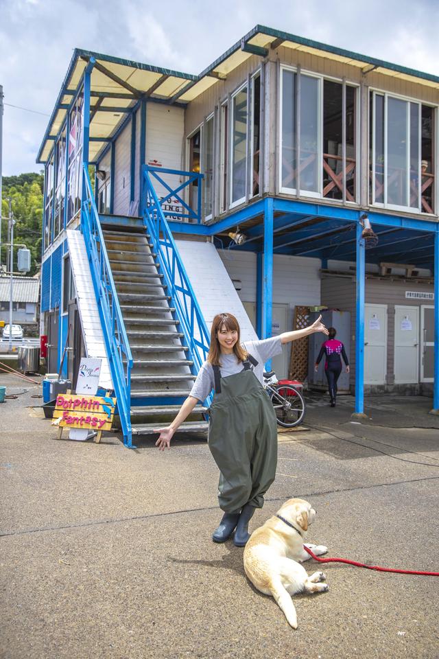画像: ではなく、こちら『Dolphin Fantasy』さんでございます。