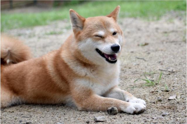 画像3: 今日はウインクの日!ウインク写真が撮りたくなるおすすめスポット紹介。
