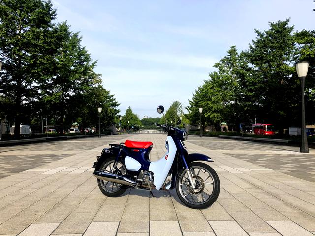 画像1: スーパーカブC125は「美しい」を超えている