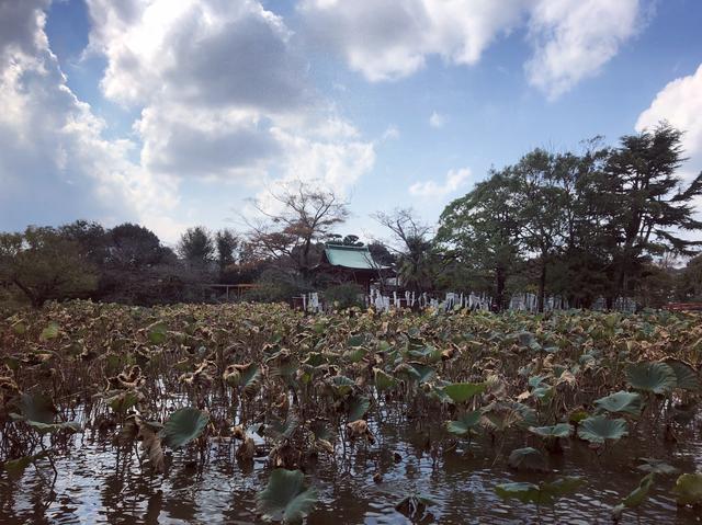 画像4: 鎌倉に到着!