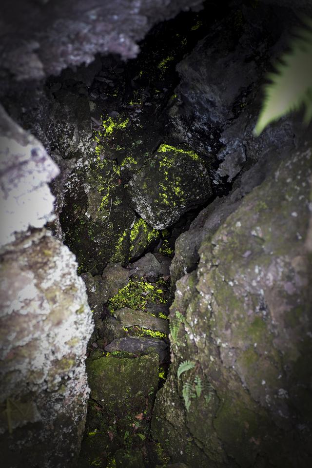 画像6: 今回の旅の目的地、鬼押出し園に到着!