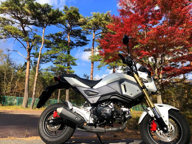 画像1: 第2回の「すごろく」でCB125Rも乗ってます!