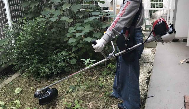 画像4: 早速体験してみた(続き)