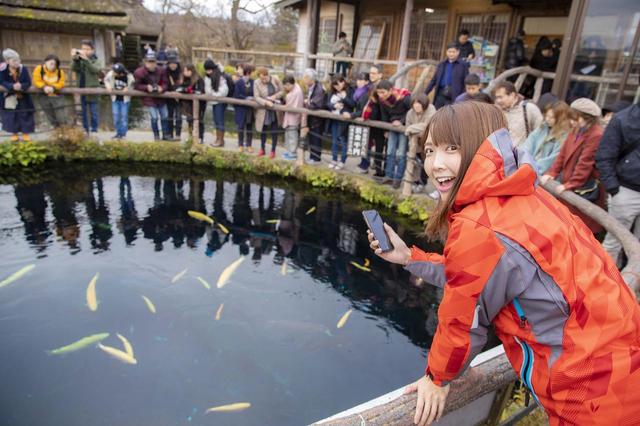 画像2: 続いて向かう先は綺麗な湧水池、忍野八海
