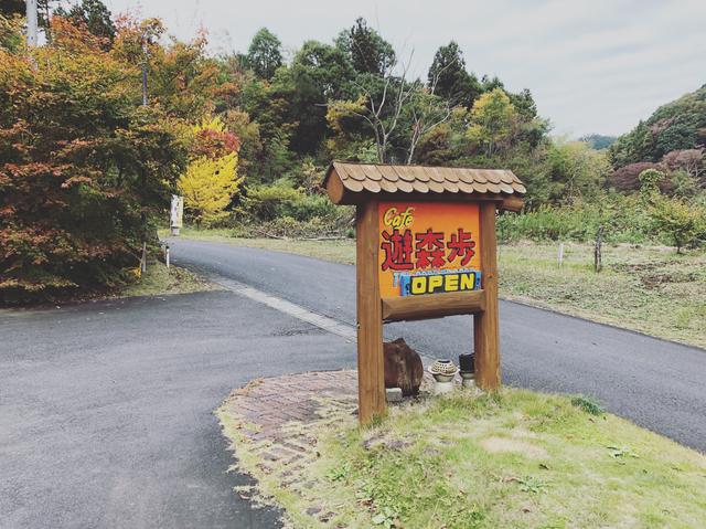 画像1: Cafe遊森歩でまったりお昼ご飯