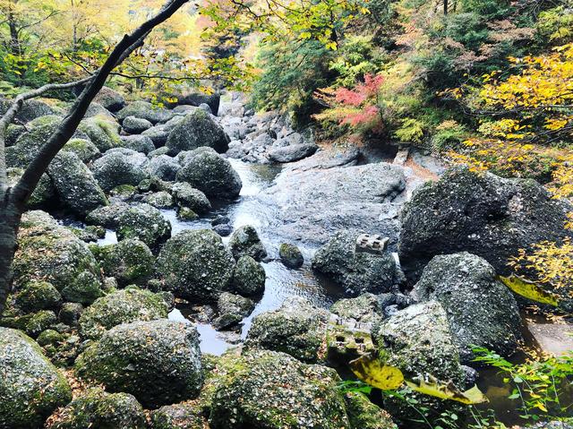 画像5: 今度は本当に袋田の滝へ!