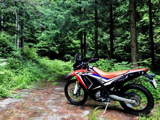 画像2: honda.lrnc.cc