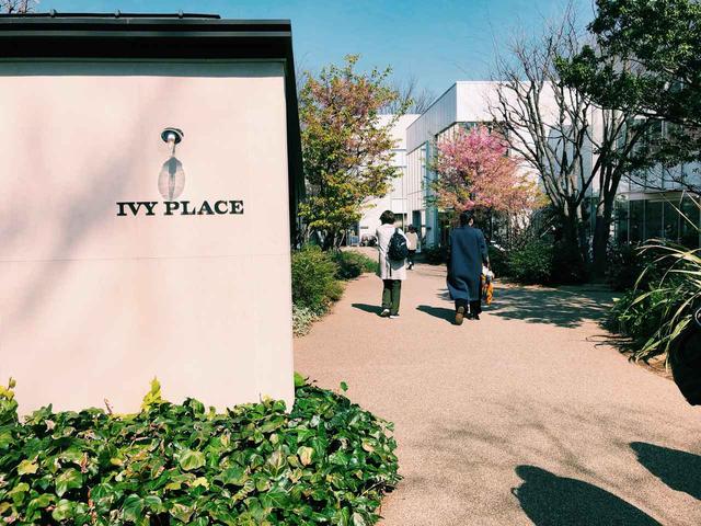 画像1: IVY PLACE