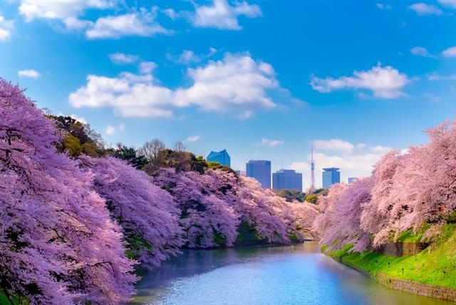 画像: 東京の観光公式サイトより 東京都千代田区九段南2丁目 www.gotokyo.org