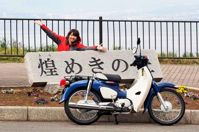 画像1: 菜の花畑を見に煌めきの丘へむかいます!