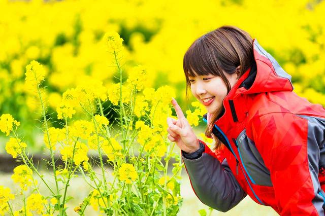 画像4: 菜の花畑を見に煌めきの丘へむかいます!
