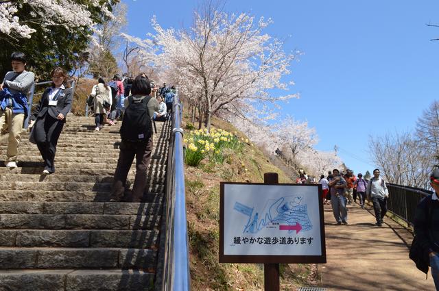 画像: 脚力に自信のない人は、こちらの遊歩道を通るルートも。どちらにしても杖はあった方がよいかも。