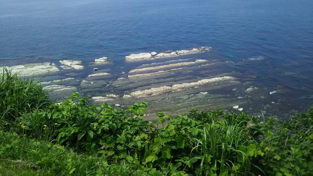画像: 崖下を見下ろせば、洗濯板状の岩が。「千畳敷」と呼ばれる独特の地形なのだそうです。