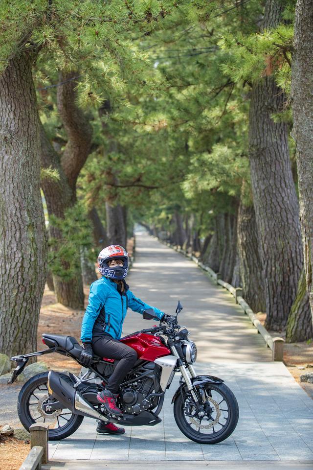 画像1: 三保の松原に到着