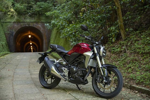 画像1: 明治のトンネルに到着!