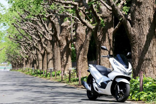 画像4: これがPCX……原付二種の王様か!?