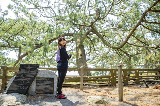 画像3: 三保の松原に到着
