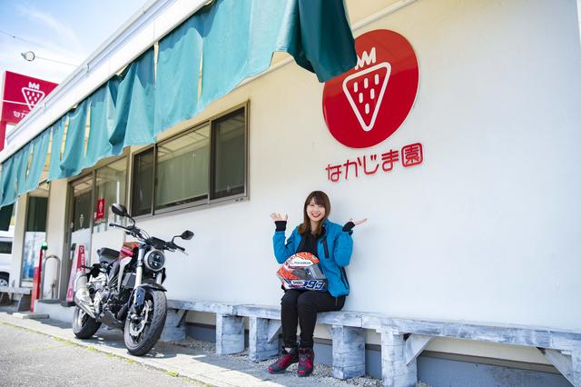 画像1: 見ごたえたっぷりの苺スイーツ