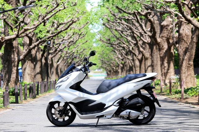 画像1: PCXがコスパ高すぎ?