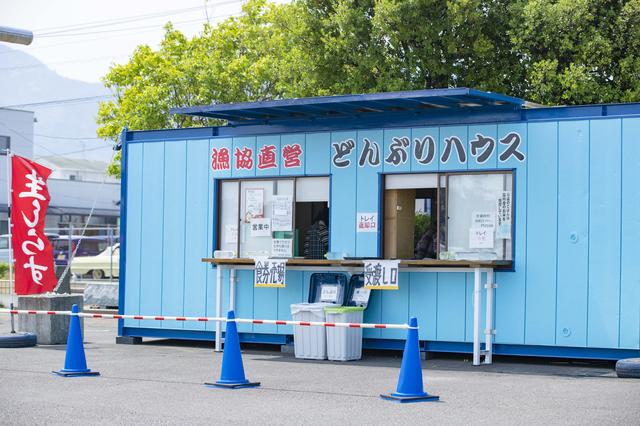 画像2: 港で食べる海鮮丼