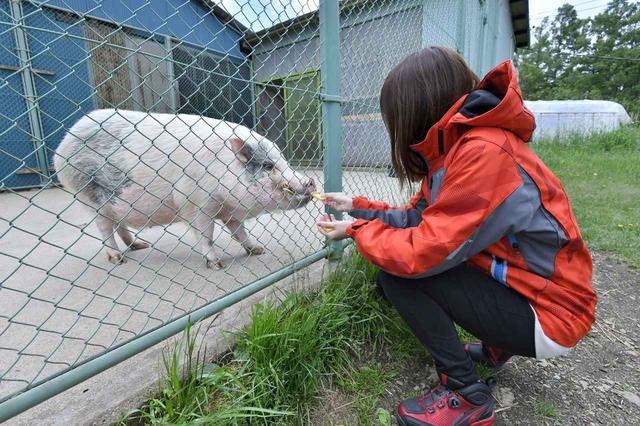 画像4: 続いて向かったのは滝沢牧場!