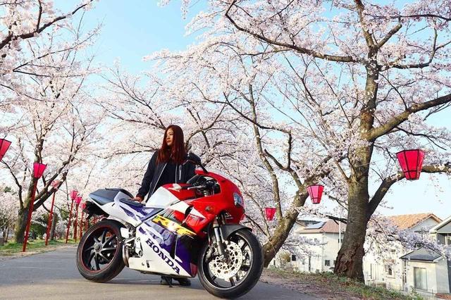 画像2: www.instagram.com