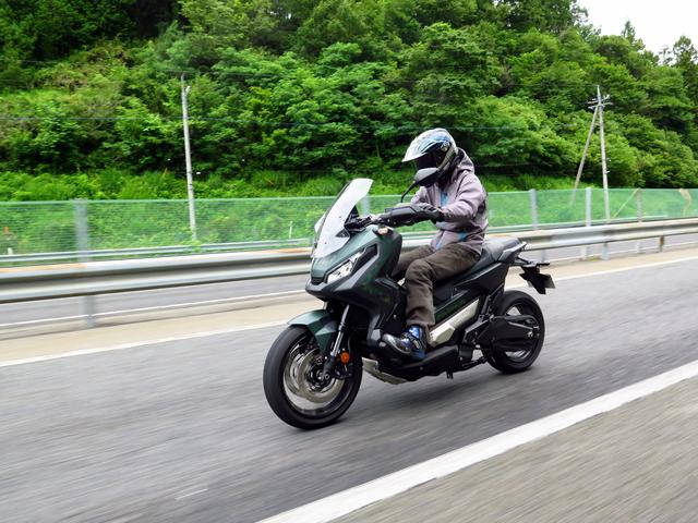 画像3: 価格のせいで埋もれてほしくない