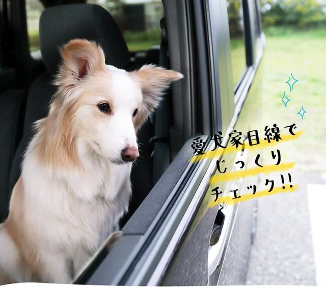 画像2: www.honda.co.jp