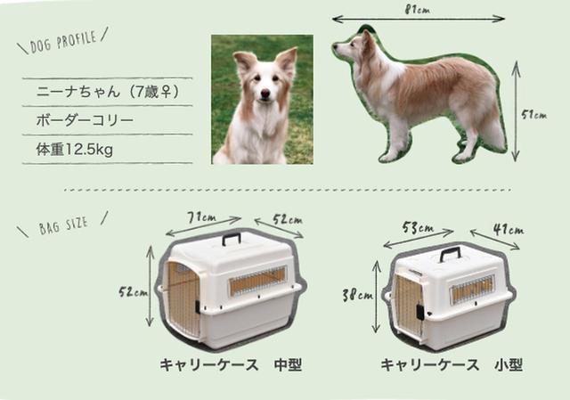 画像: 車種別に解説!わんこにやさしいクルマ