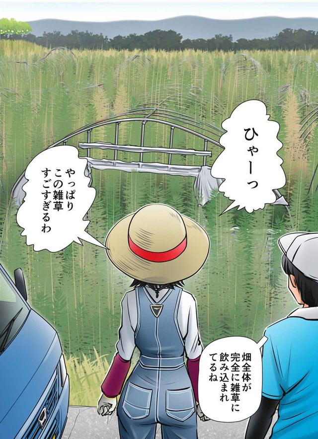 画像: 第6話「プロの成果物 そしてスイカ畑再生へ」