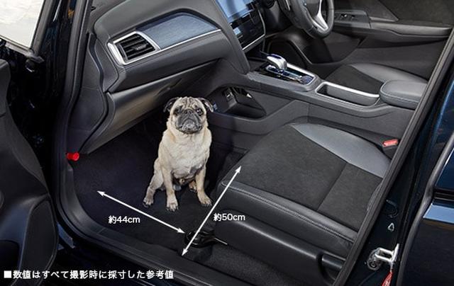 画像: 小型犬・床に座った状態 www.honda.co.jp