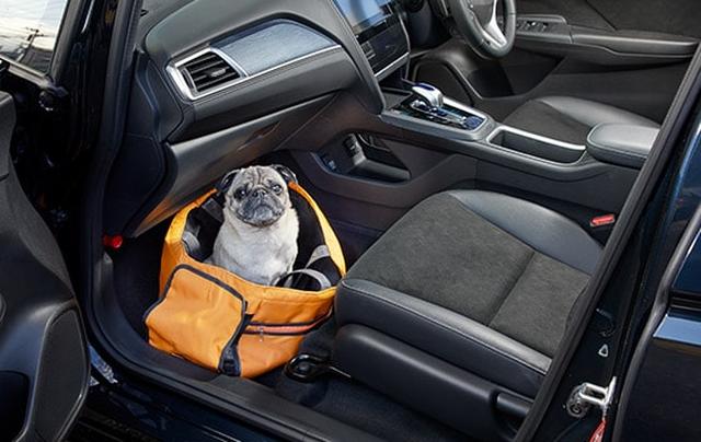 画像: 小型犬・ソフトタイプのキャリーに入れた状態 www.honda.co.jp