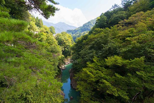 画像3: 吾妻渓谷(猿橋)へ到着!