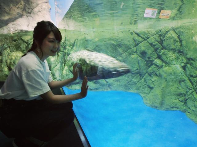 画像: ※写真中央に見えるのがアザラシです(びゅーーん)